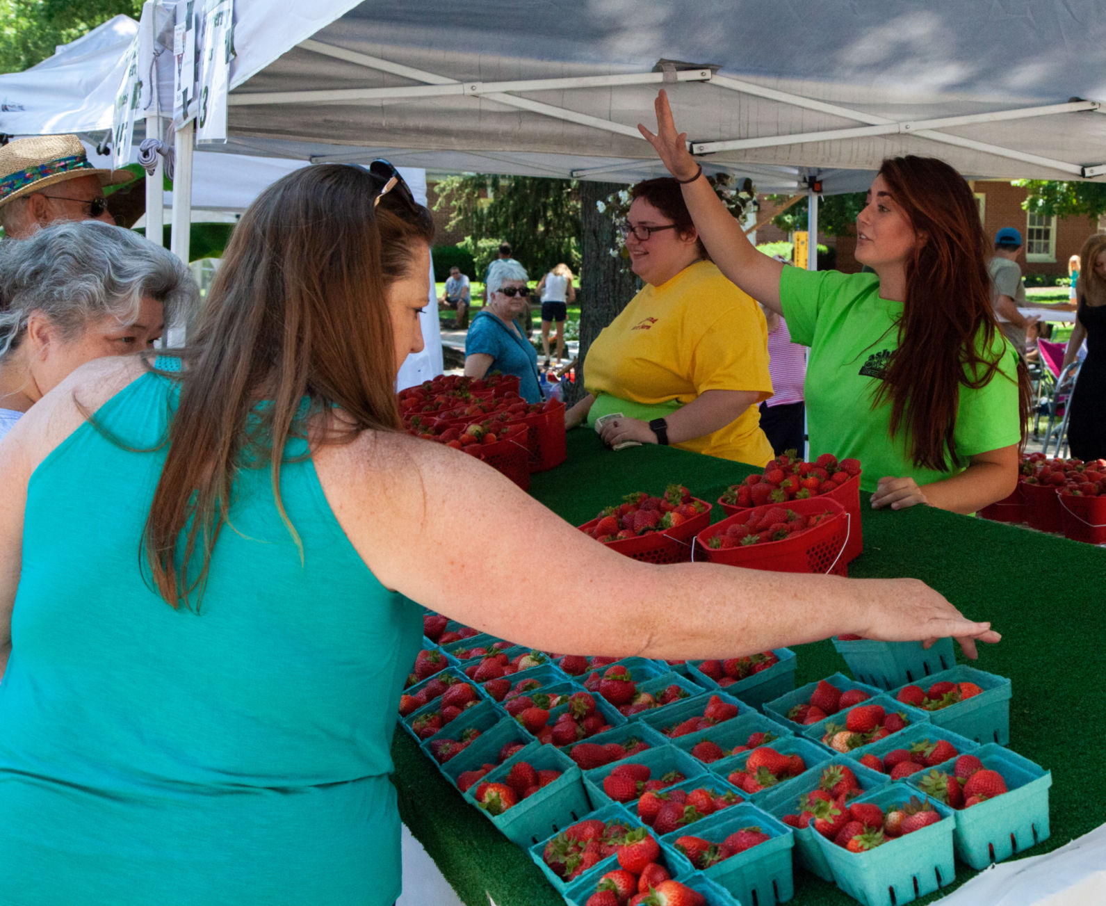 Strawberry Faire: Berries